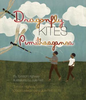 Two brothers flying kites