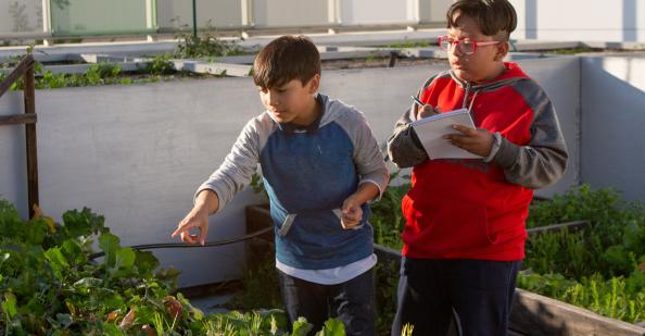 Two students pointing at plants